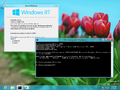 winver and Command Prompt