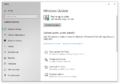Windows Update on Windows 10 (21H2)