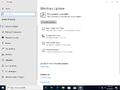 Windows Update settings