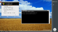 winver with Command Prompt