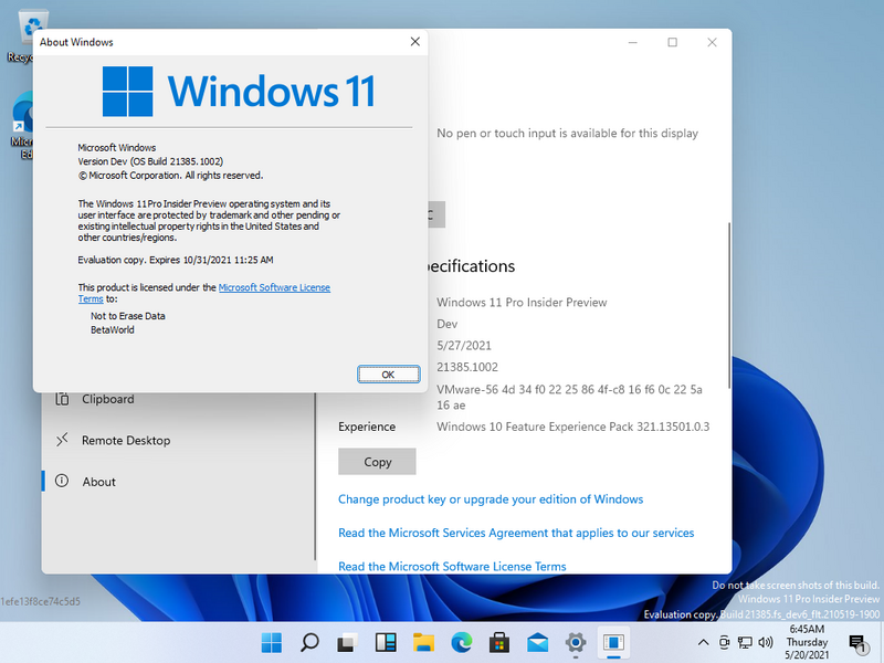 File:Windows 11-10.0.21385.1002-Version.png
