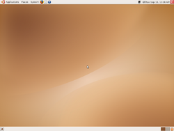 Ubuntu-7.04-Desktop.png