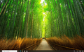 Default Windows Spotlight background image