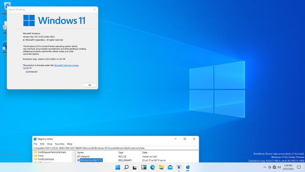 Windows 11 build 21380 - BetaWiki