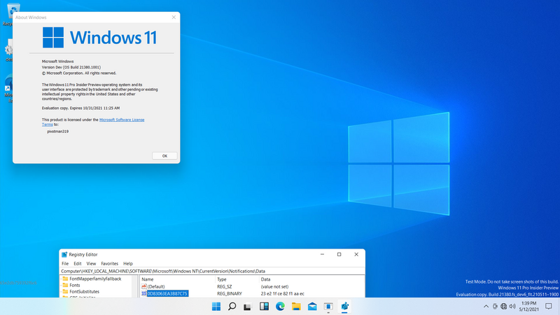 File:Windows11-10.0.21380.1001-LeakCircumventionDemo.png
