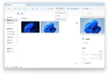 The Gallery page in File Explorer (with the Details pane)