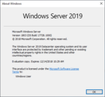 WindowsServer2019-10.0.17728-winver.png