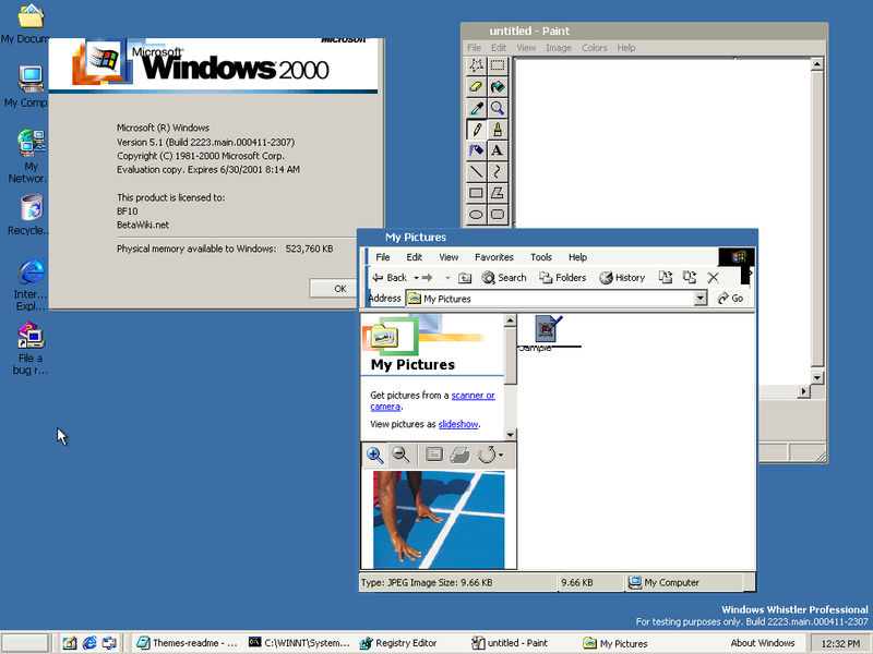 File:WindowsXP-5.1.2223-BusinessTheme.png