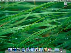 MacOS-10.5-9A499-Desktop.png