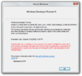 winver (Developer Preview N)