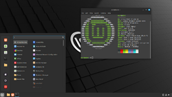 Linux Mint 22 'Wilma' (Cinnamon).png