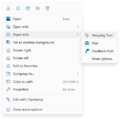 Context menu with the "Share with" cascading menu