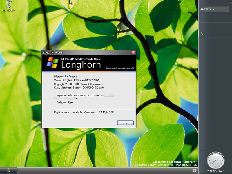 File:Longhorn4081Desktop.png